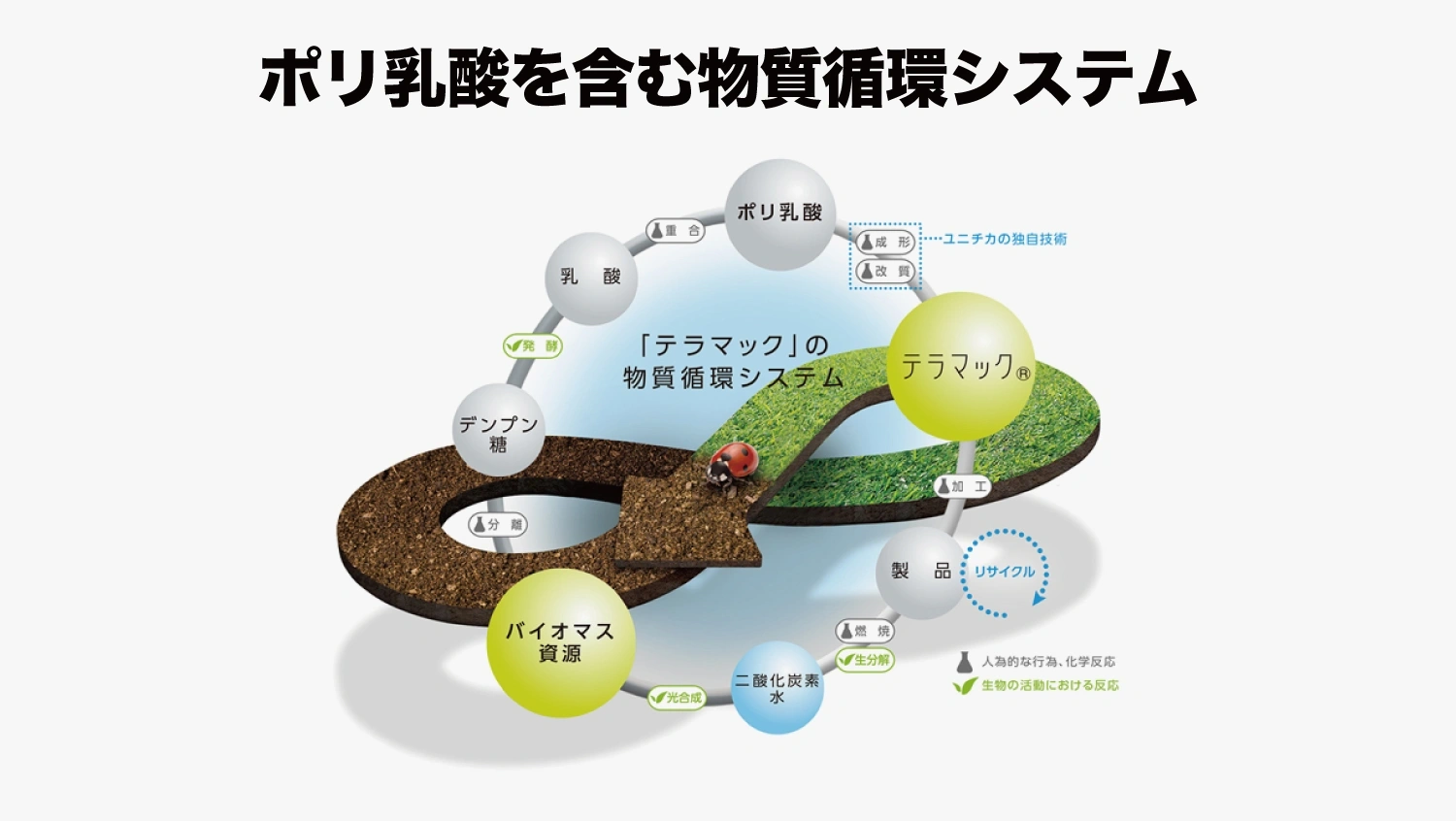 トウモロコシなどをバイオ繊維に―各社「ポリ乳酸繊維」【注目製品で捉える繊維の第4世代 第5回】