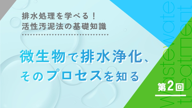水の安全性評価には「指標」が大事【排水処理を学べる！活性汚泥法の