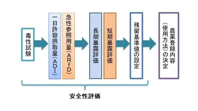 残留基準値はどうやって決まるの？【化学業界と「農薬」の